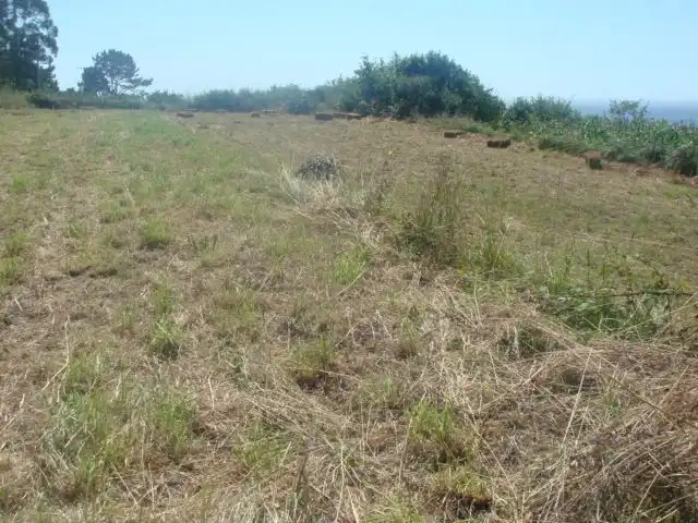 Terrenys i solars en venda a Oia, imagen 8