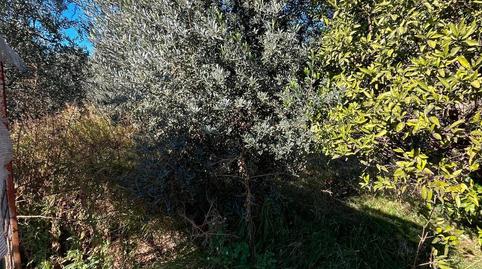 Photo 2 of House or chalet for sale in Artana, Avenida Alemania-Italia, Vila-real