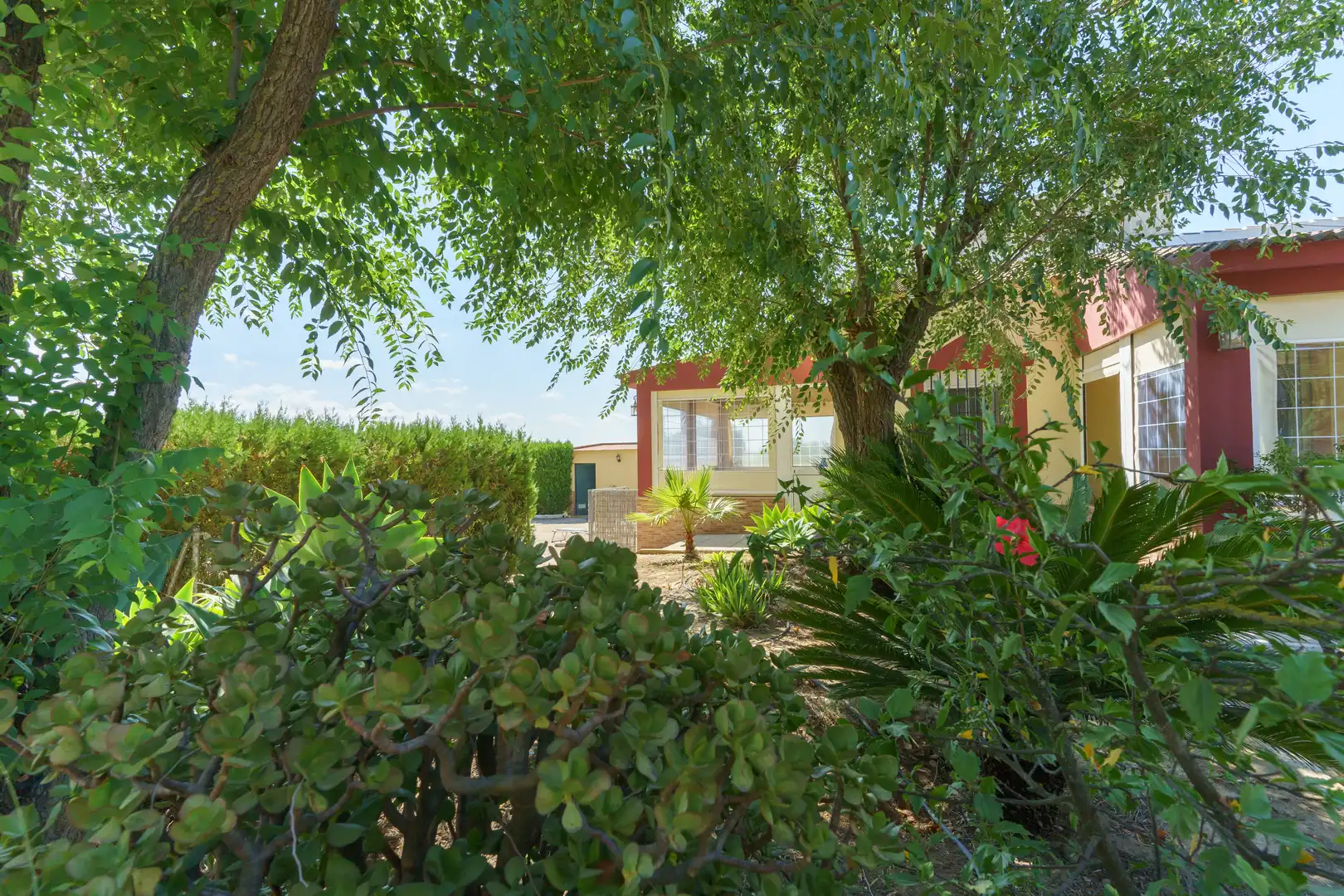 Jardín de Finca rústica en venta en La Palma del Condado con Jardín privado, Terraza y Piscina