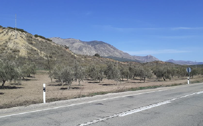 Außenansicht von Grundstücke zum verkauf in Guadahortuna