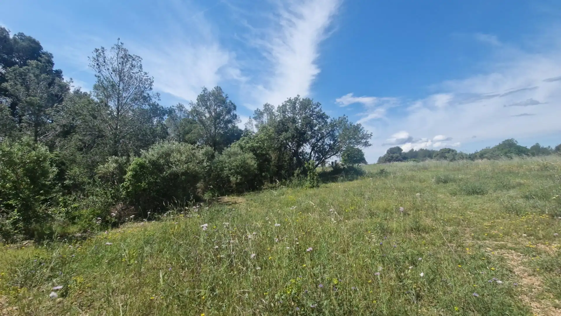 Terreno rustico in vendita a Valls, imagen 25