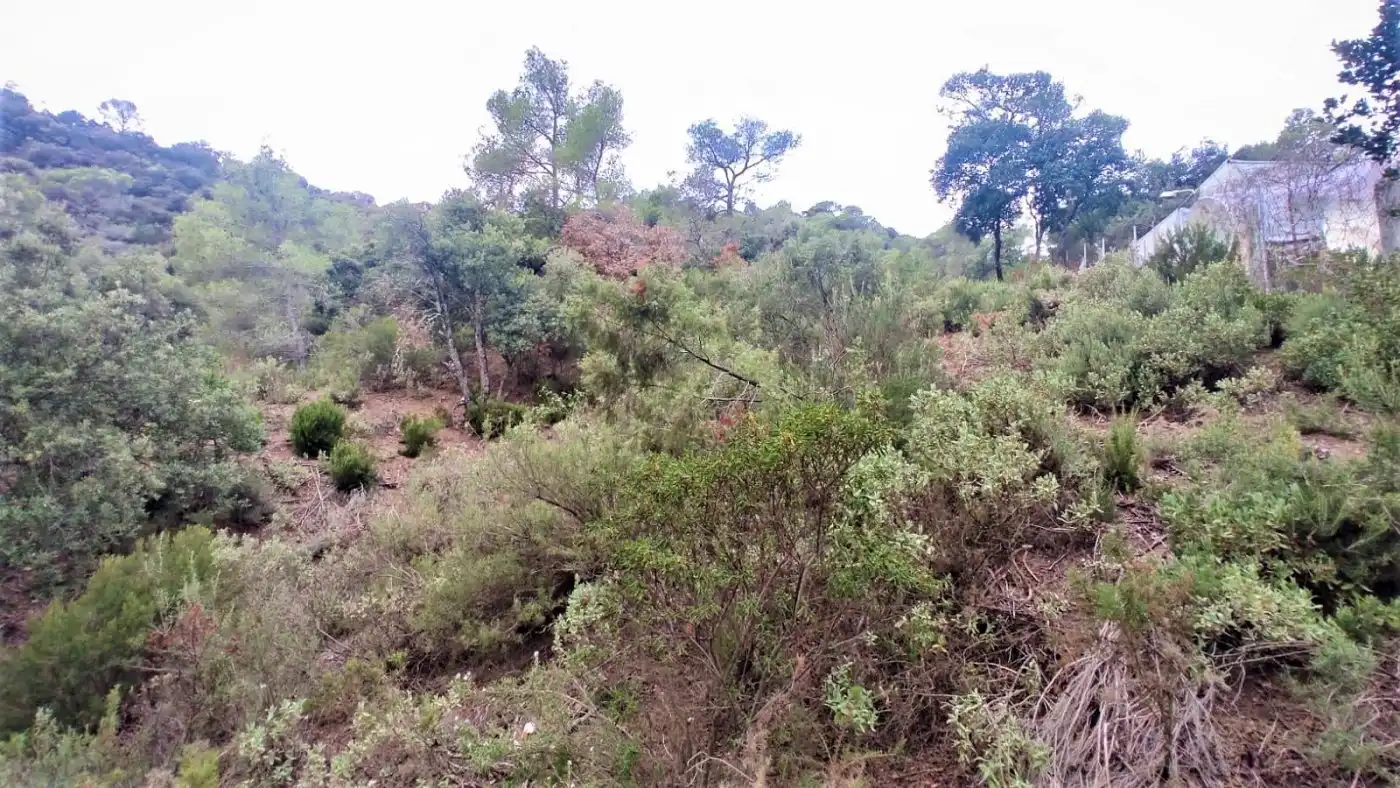 Terrain résidentiel à vendre à Matadepera, imagen 4