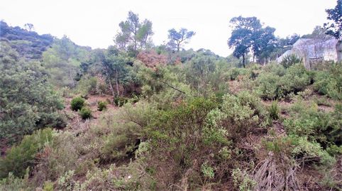 Terreno de 2.299m2 en venta en les Pedritxes, Matadepera, imatge 4