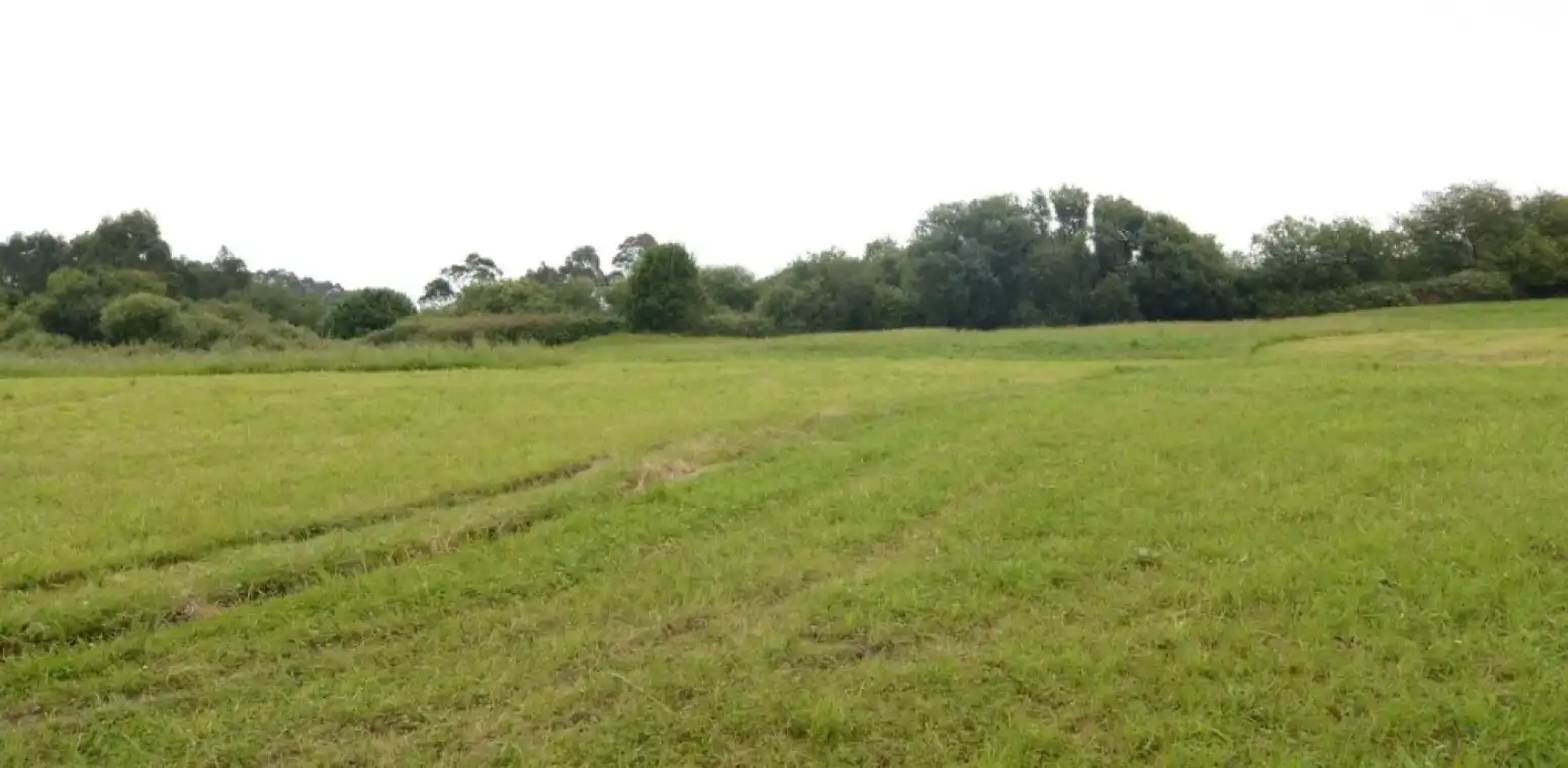 Residencial en venta en Ribadedeva - Pimiango, Ribadedeva