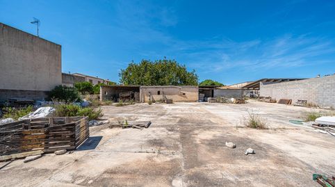 EXCLUSIVO SOLAR URBANO EN EL CENTRO DE MURO – GRAN OPORTUNIDAD DE INVERSIÓN EN MALLORCA, immagine 2