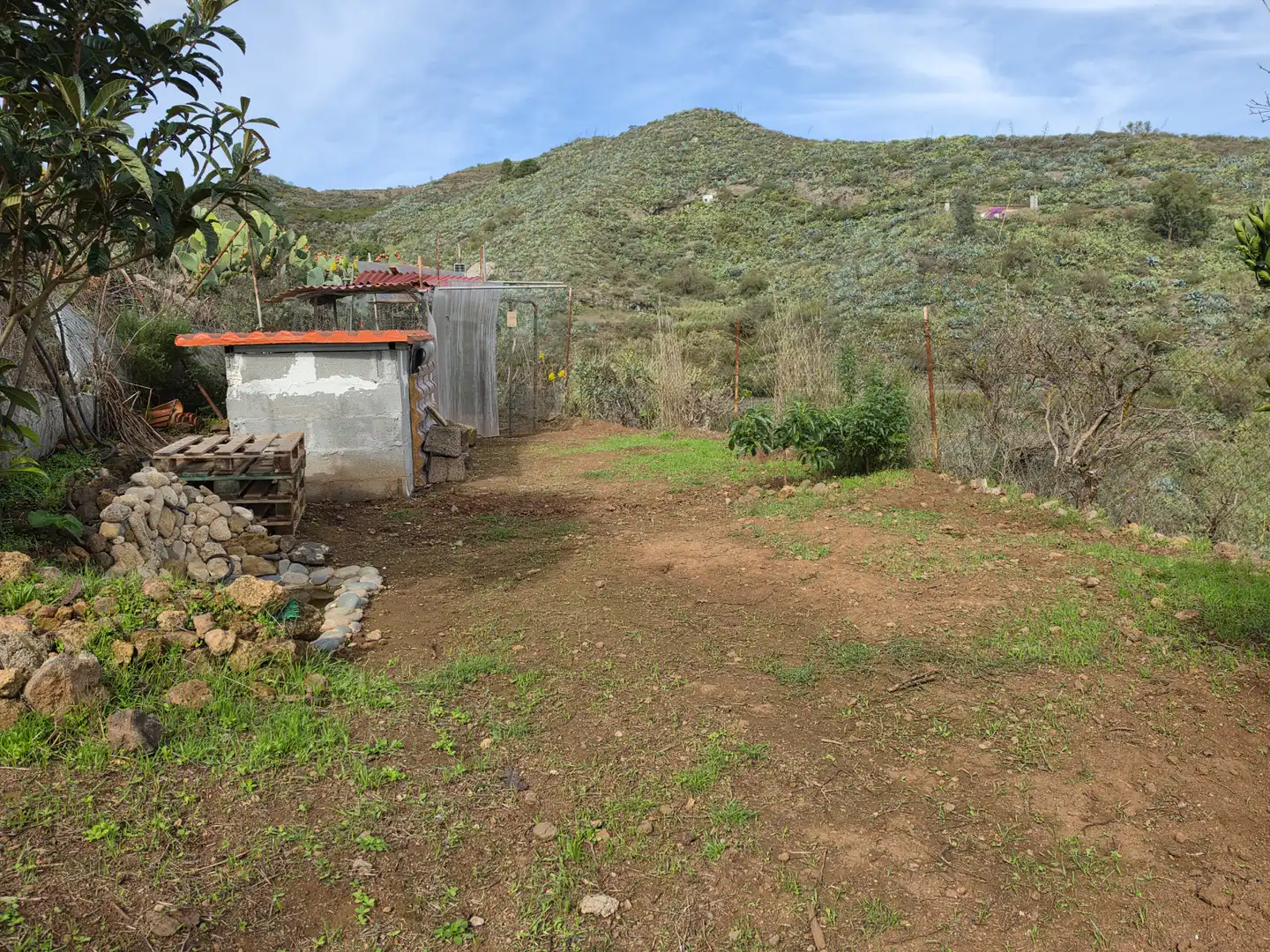 Finca rústica en venta en El Palmar