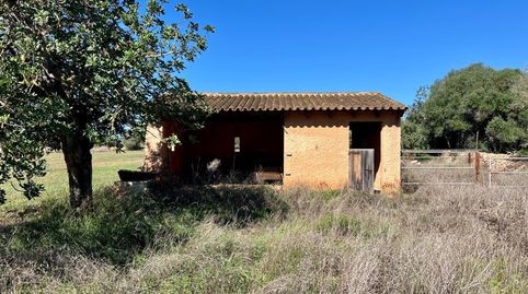 Amplio Solar en Campos con Proyecto y Fundamentos Realizados, imatge 2