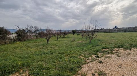 Venta de finca en Estella, imagen 5