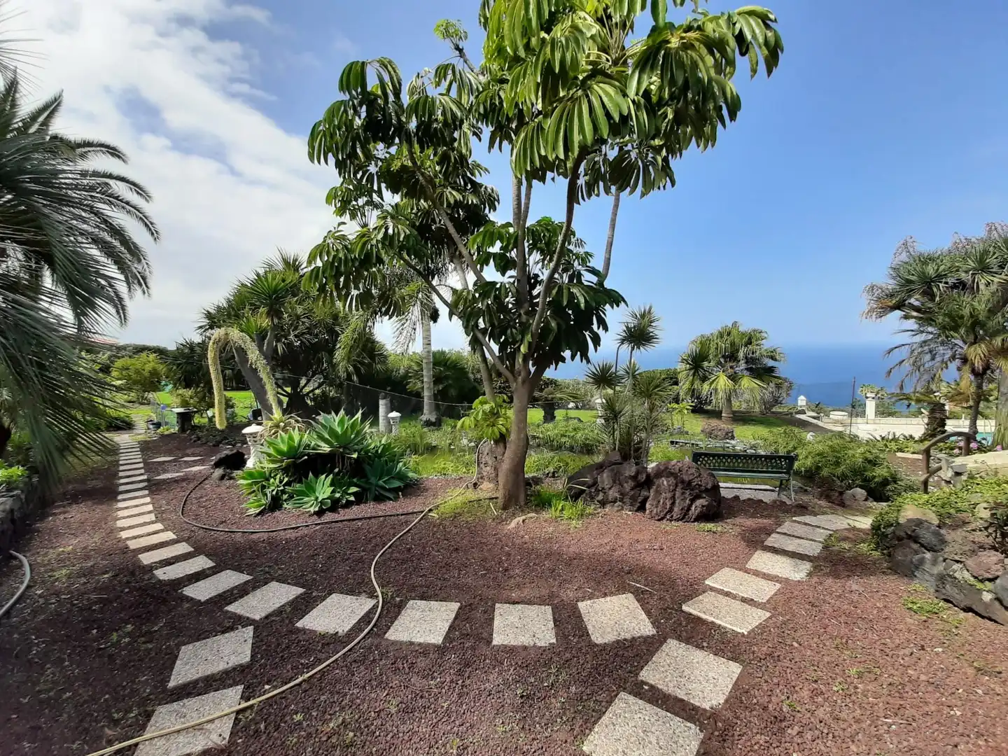 Jardín de Casa o chalet en venta en Santa Úrsula con Jardín privado, Terraza y Piscina