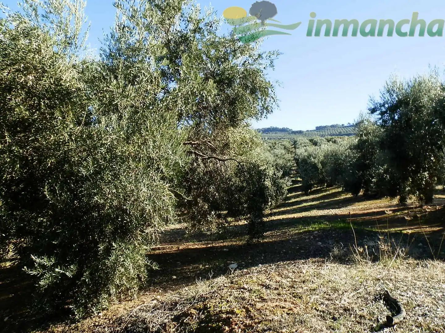 Terrain rustique à vendre à Puente de Génave, imagen 2