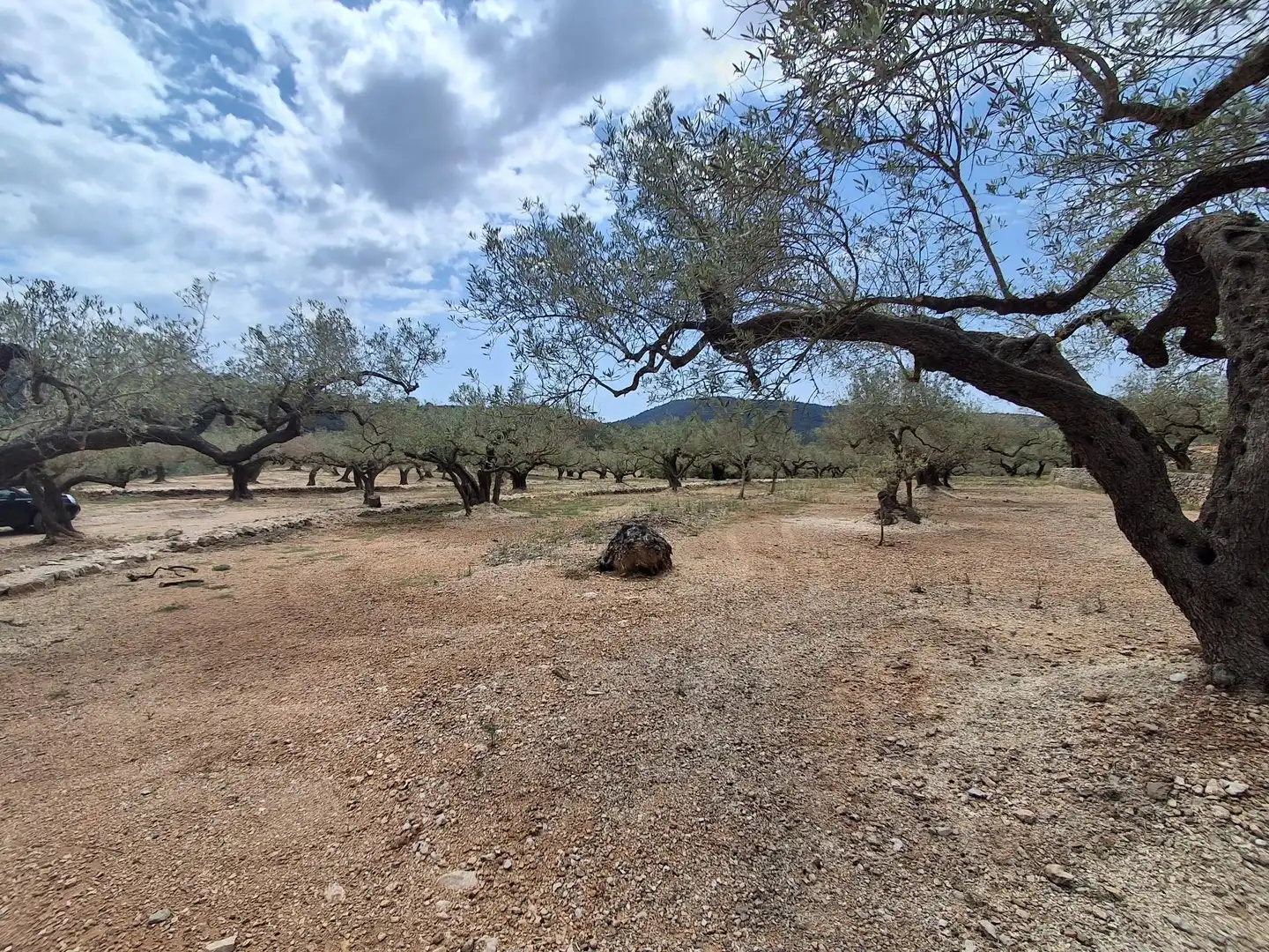Terreno rustico in vendita a El Perelló, imagen 41