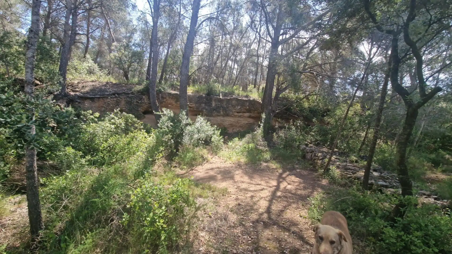 Terreno rustico in vendita a Valls, imagen 32
