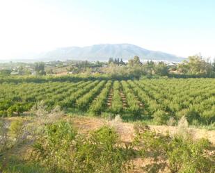 Vista exterior de Finca rústica en venda en Alhaurín El Grande amb Jardí privat, Terrassa i Piscina