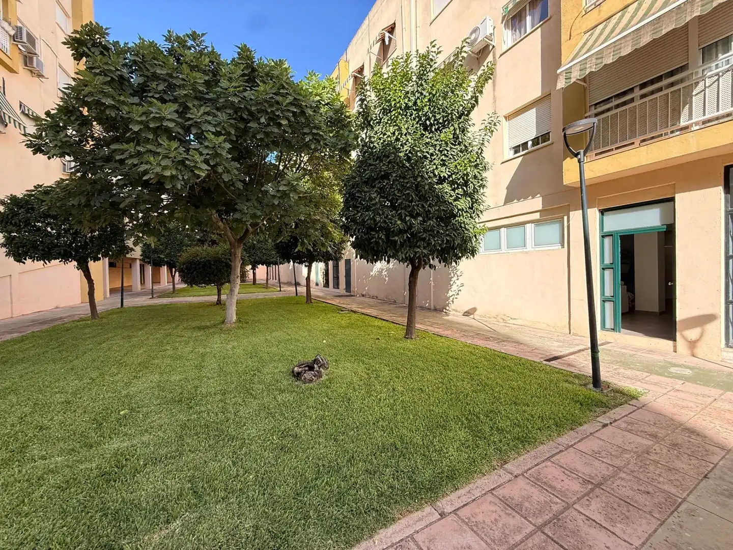 Appartamento con giardino in affitto a Centro, imagen 6