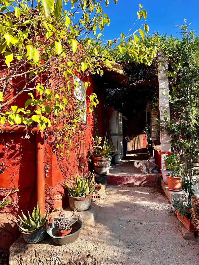 House with garden for sale in Polígono Saltet, imagen 9