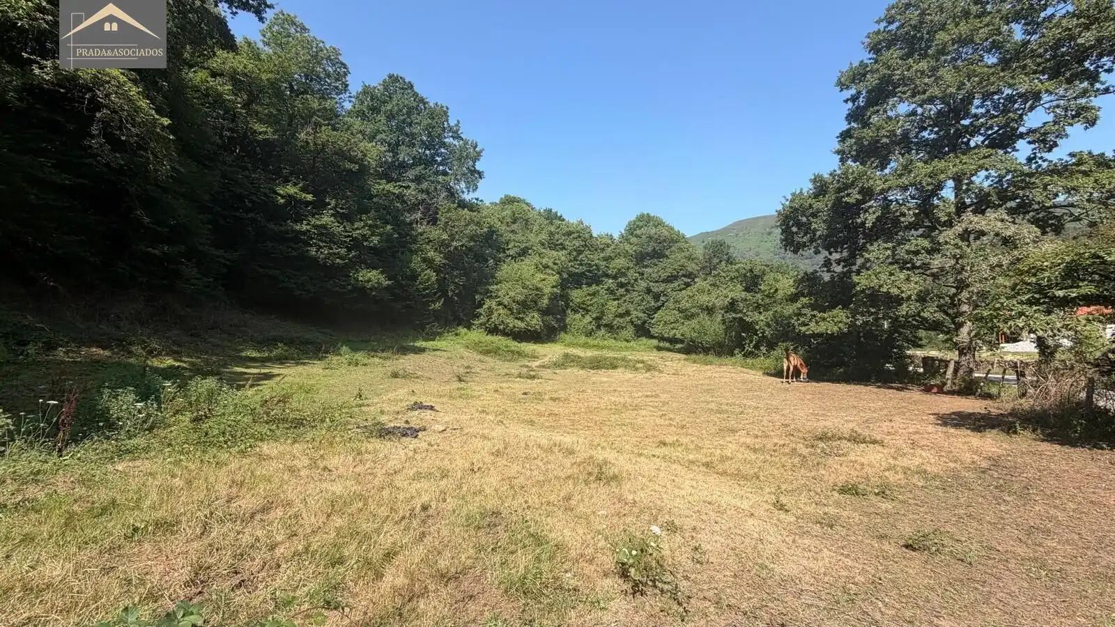 Residential land for sale in Ruente, imagen 4