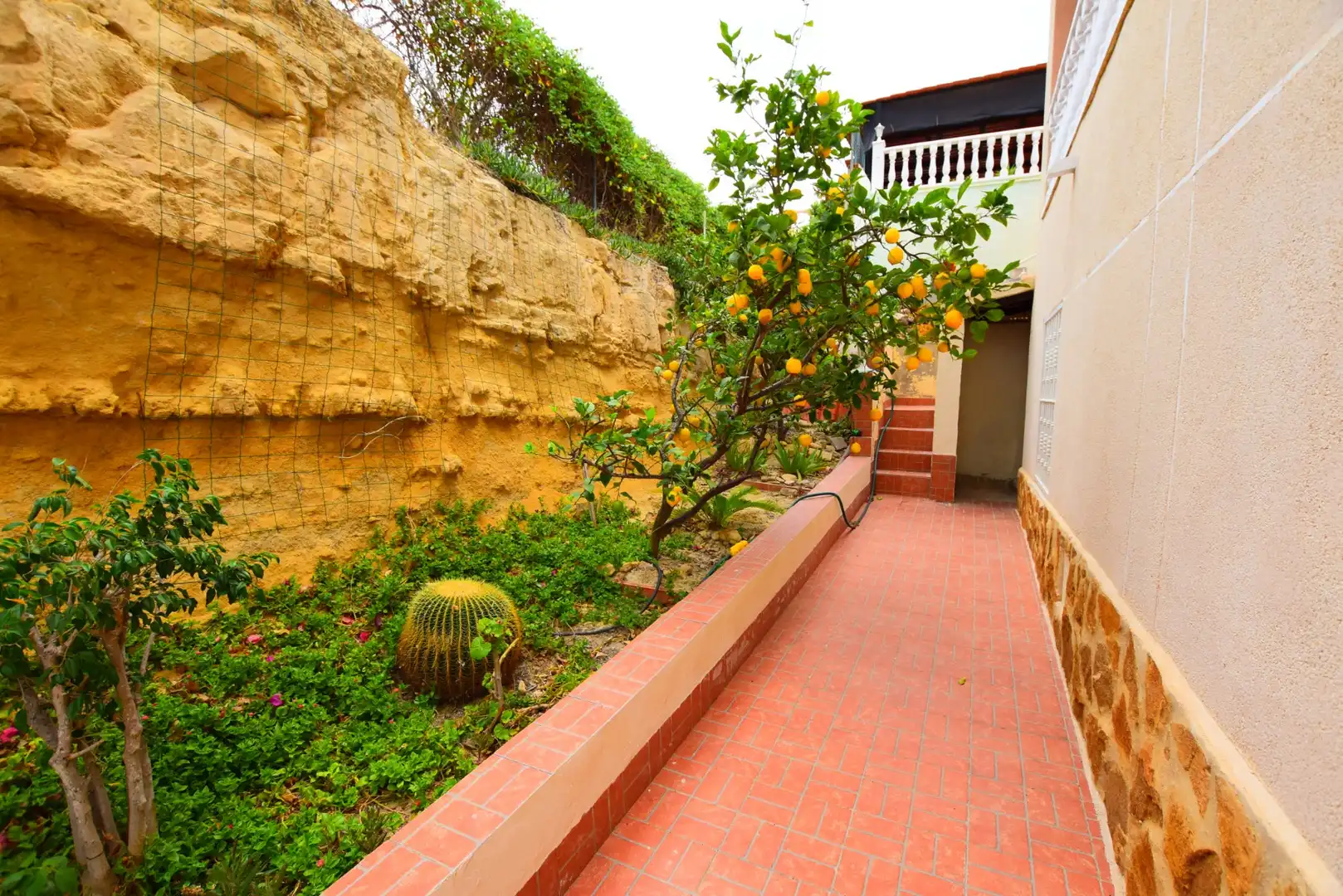 Studio à vendre à Algorfa, imagen 47
