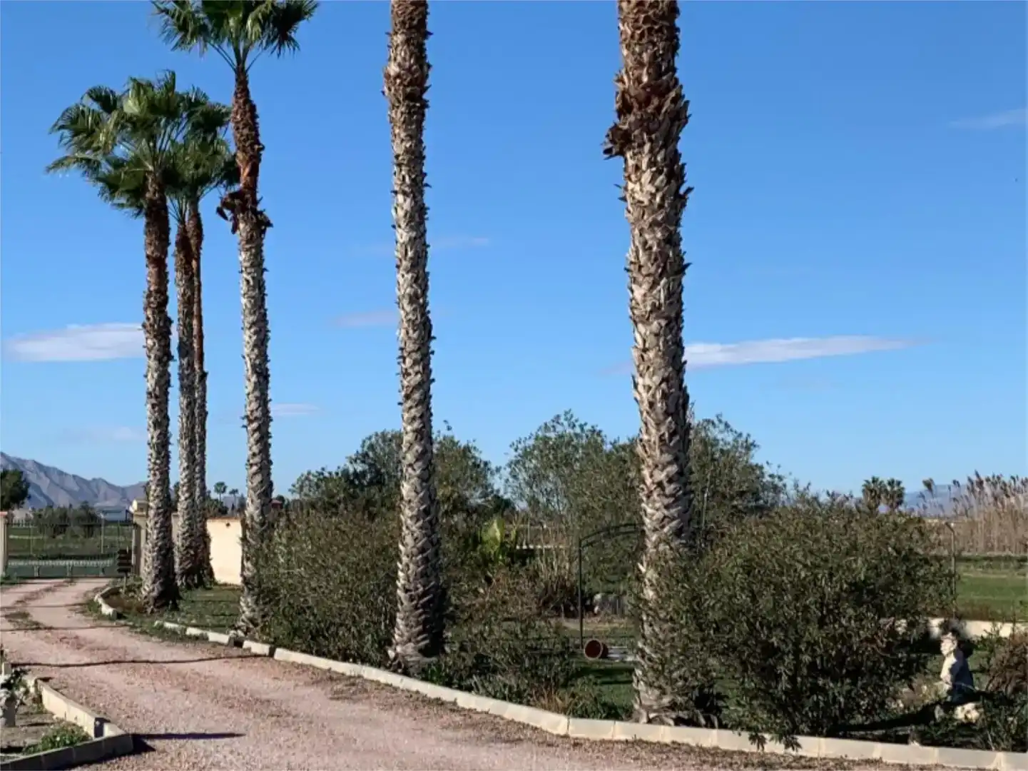 Jardí de Planta baixa en venda en Dolores amb Aire condicionat, Piscina i Balcó