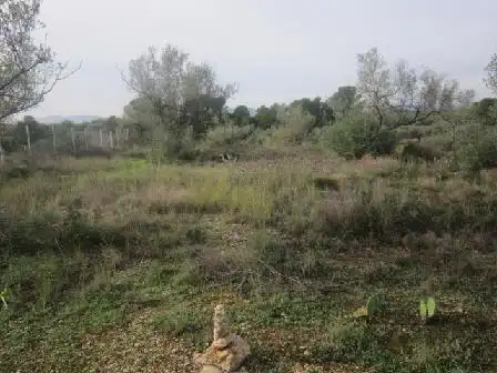 Terreny rústic en venda a Paraje Figuereta, imagen 8