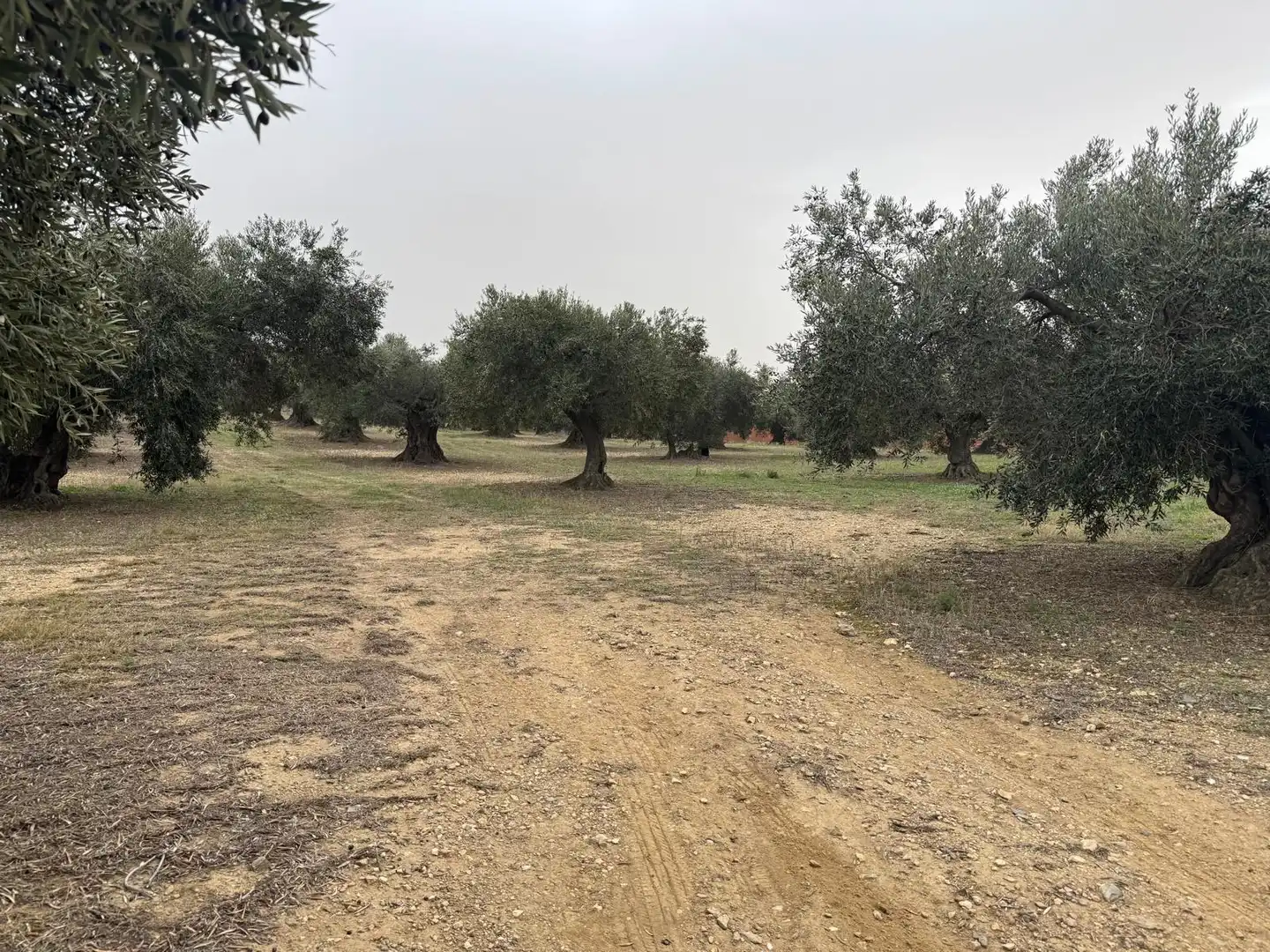 Rustikales Grundstück zum Verkauf in Carrer Carrer Dalt, imagen 9