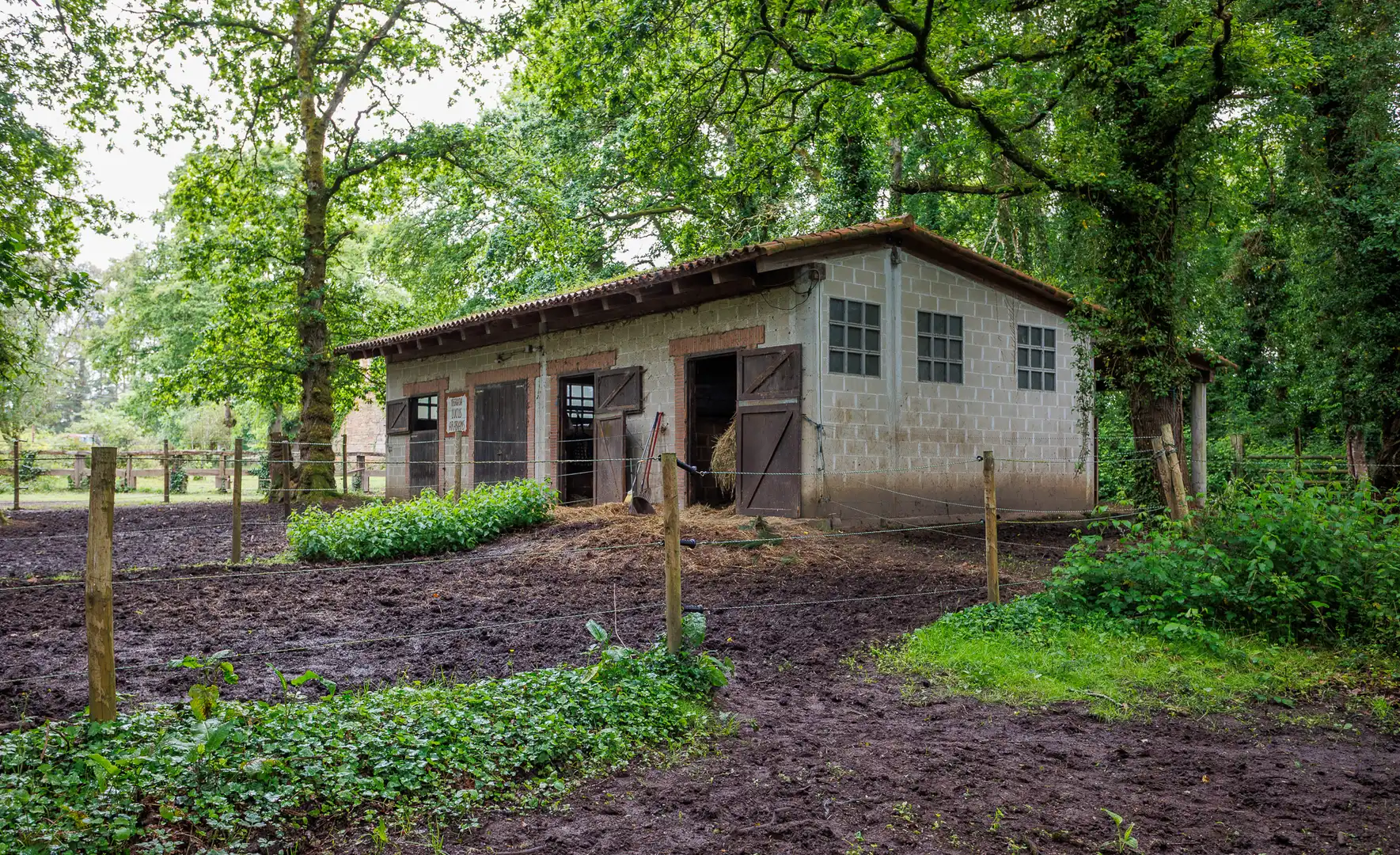 Vista exterior de Finca rústica en venda en Cospeito
