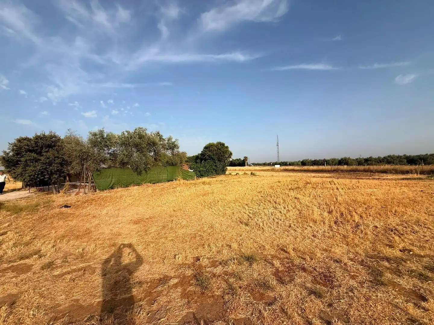 Terreny residencial en venda a La Carlota, imagen 3