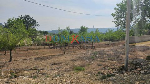 Granjas de crie y engorde, negocios de agricultura y casas., imatge 3