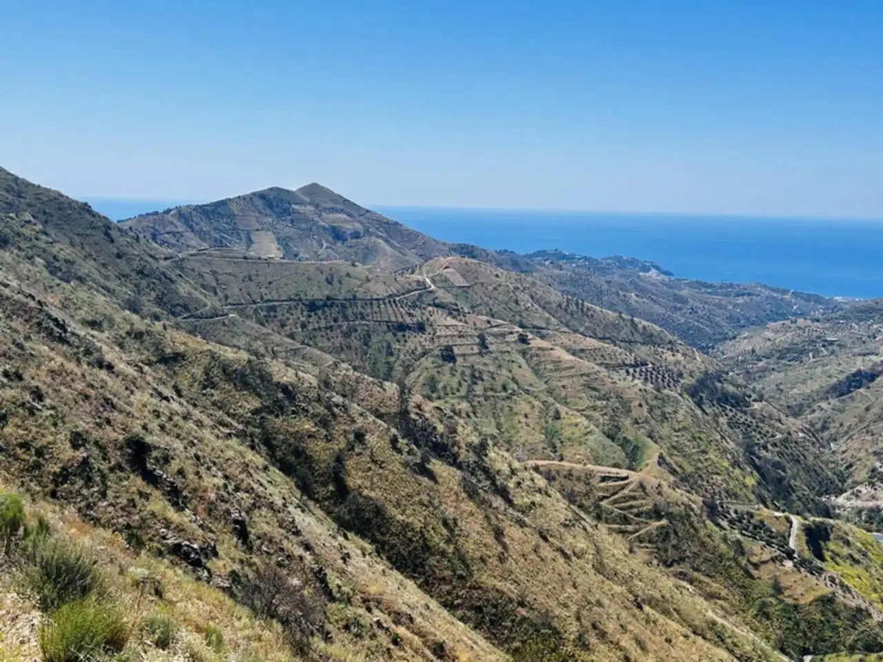 Vista exterior de Finca rústica en venta en Almuñécar