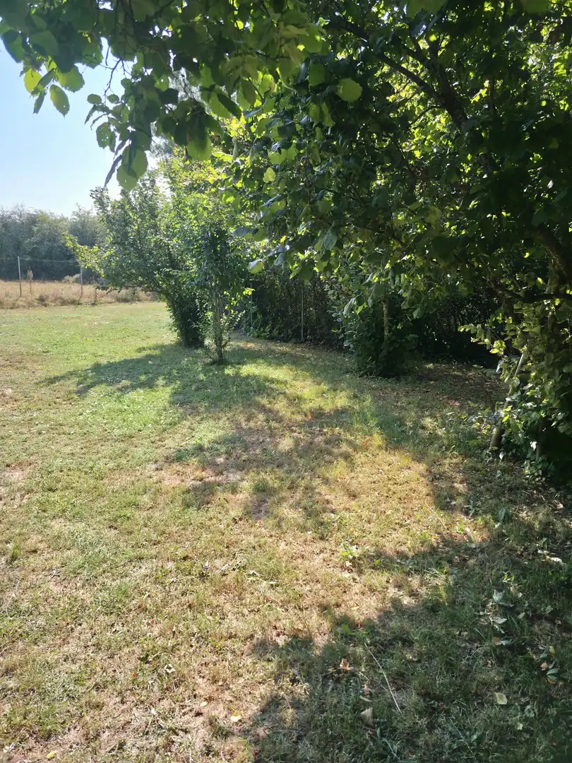 Casa o chalet en venta en Cervera de Pisuerga, Palencia