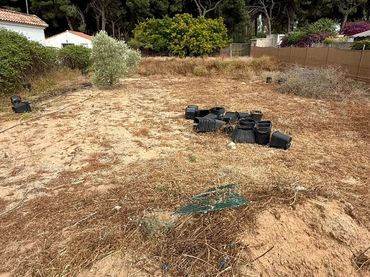 Terreno rustico in vendita a Ctra Sanlúcar - Cuatro Pinos