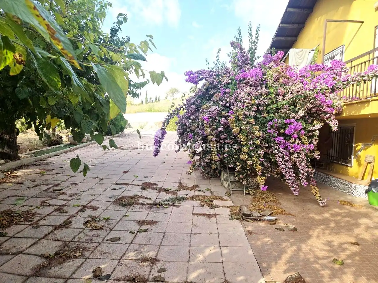 Jardí de Casa o xalet en venda en Puente Tablas - Puente Nuevo - Cerro Molina
