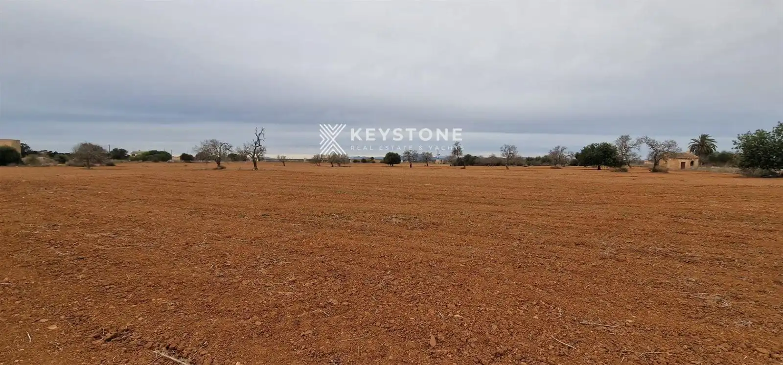 Finca rústica en venta en Campos poble