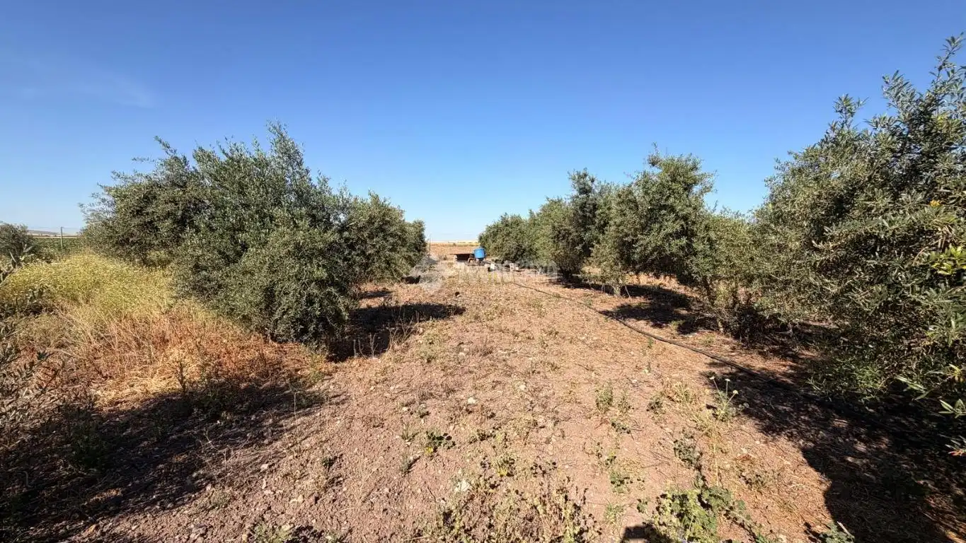 Terreno en venta en Paraje los los llanos, La Lantejuela