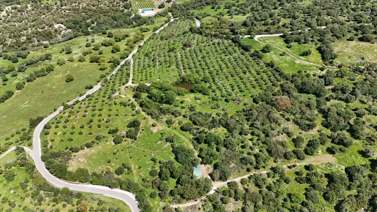 Casa rústica en venda a Gaucín, imagen 9