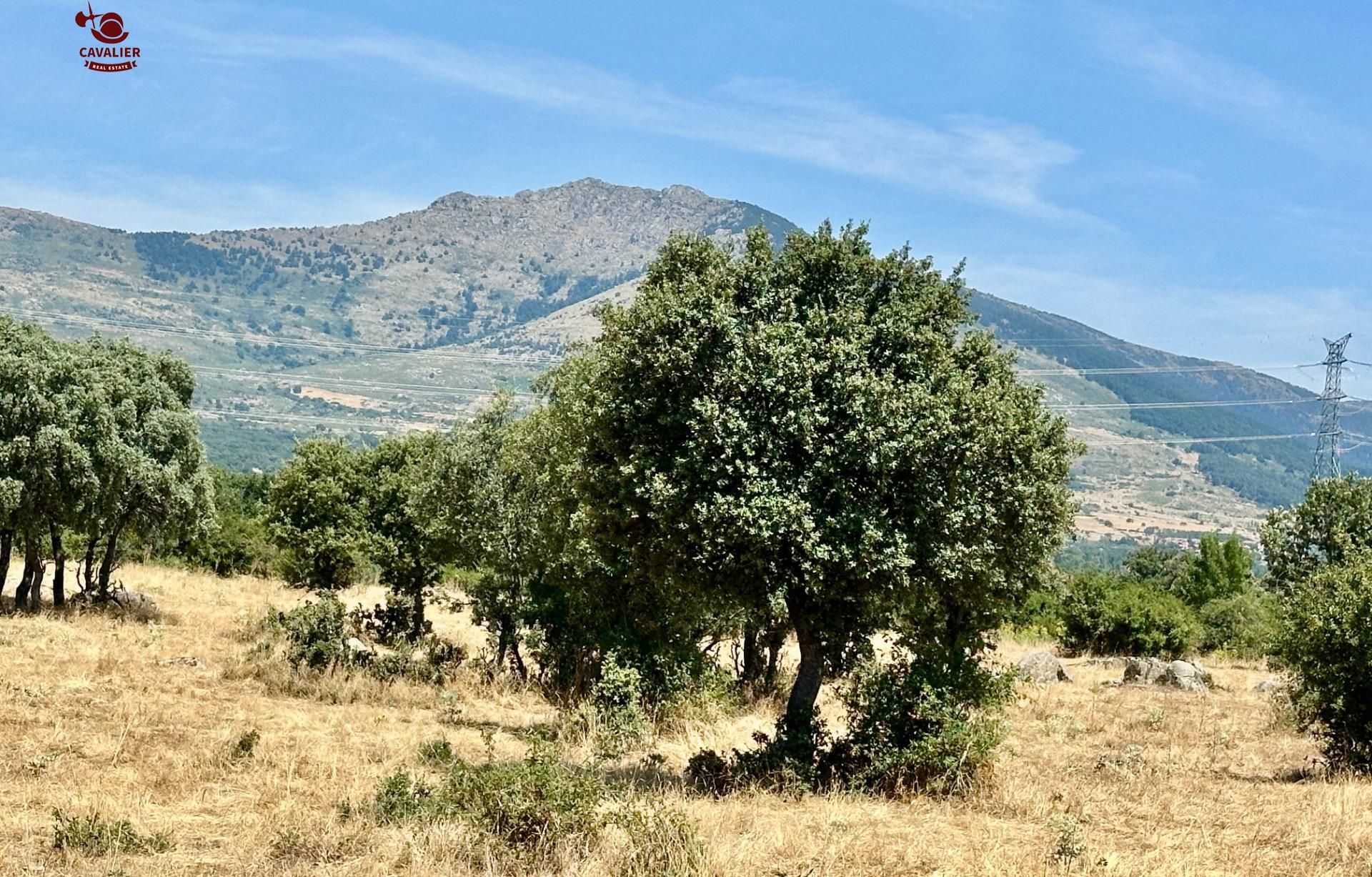 Flat for sale in Guadarrama  with Heating, Private garden and Terrace