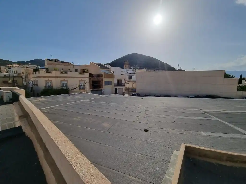 Vista exterior de Casa o chalet en venta en Alhama de Almería con Jardín privado, Terraza y Piscina