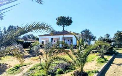 Außenansicht von Country house zum verkauf in La Palma del Condado