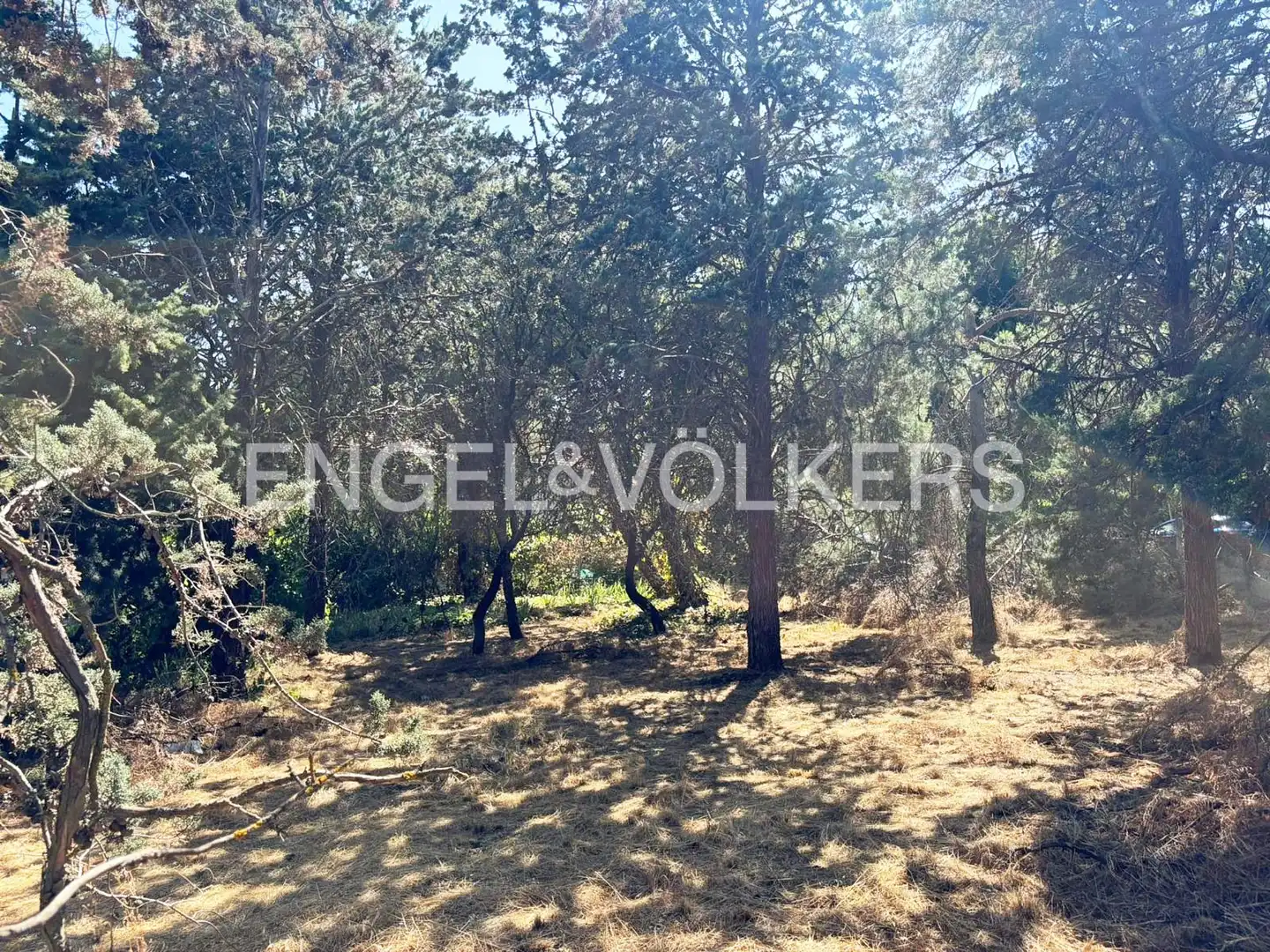 Terreno residencial en venta en Las Matas  - Peñascales, imagen 4