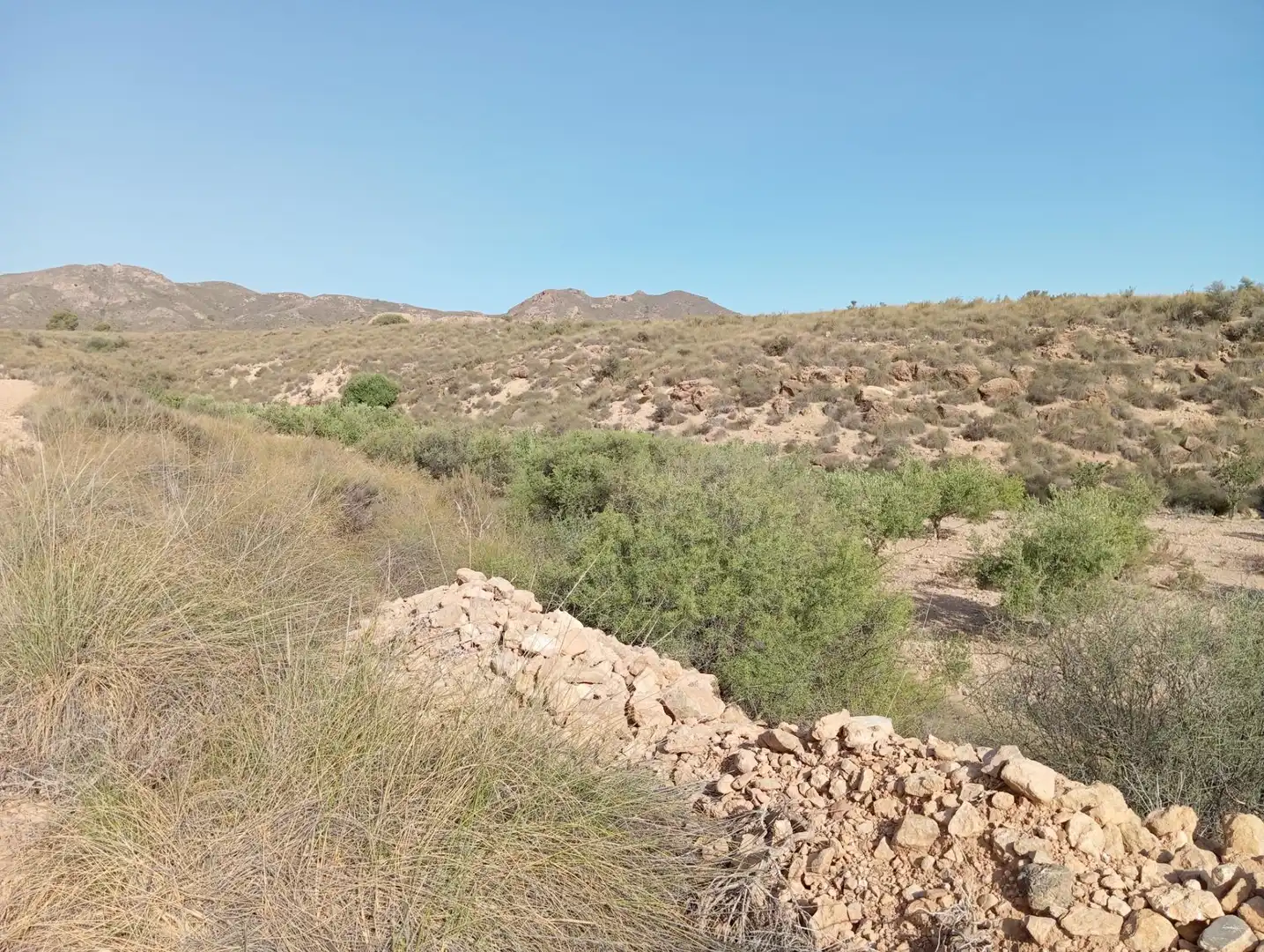 Casa rústica en venda a Cuevas del Almanzora pueblo, imagen 12