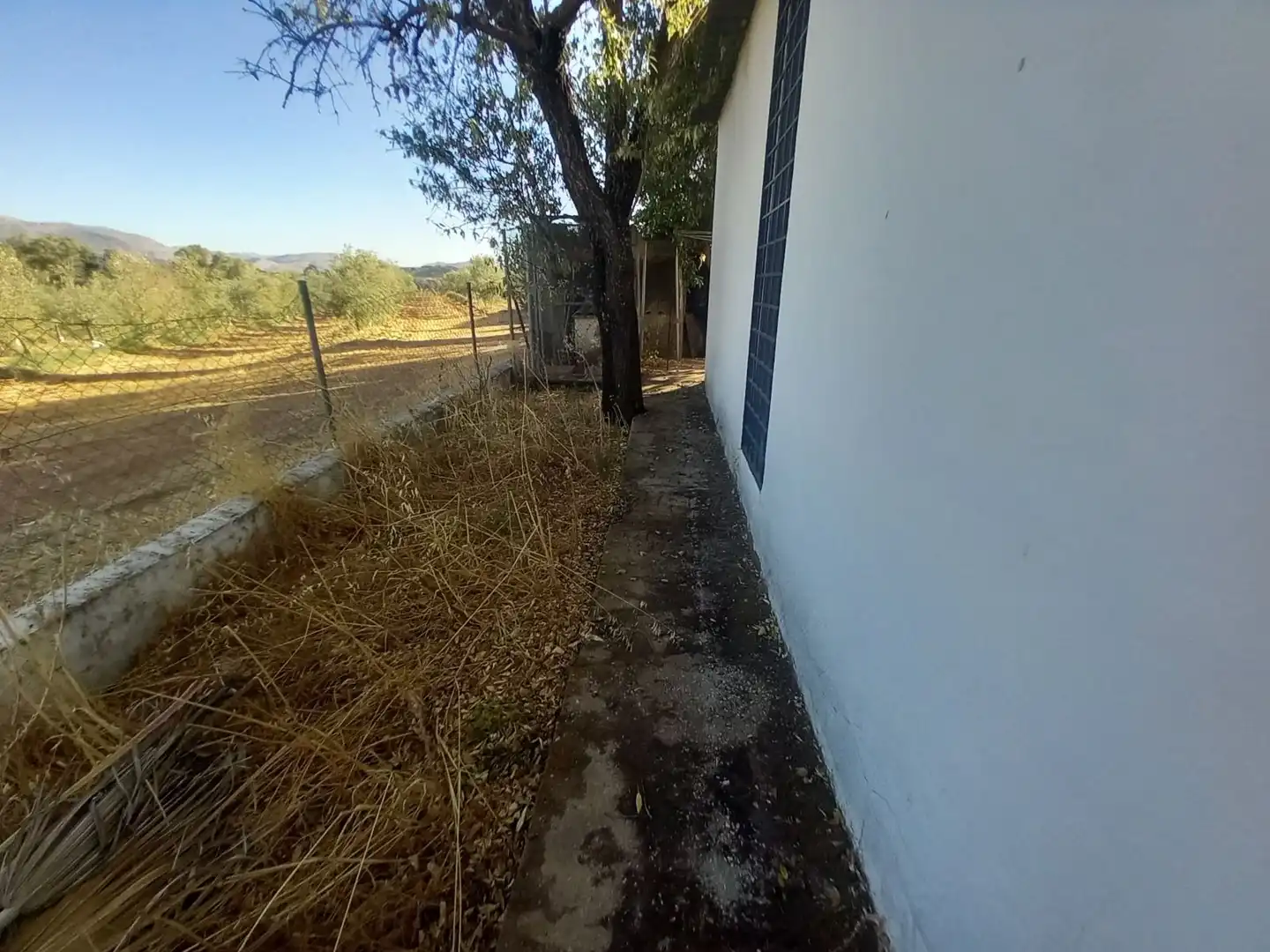 Casa amb piscina en venda a Partidas Norte, imagen 39