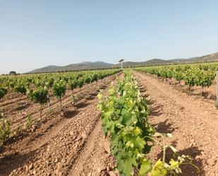 Land for sale in Fuente el Fresno