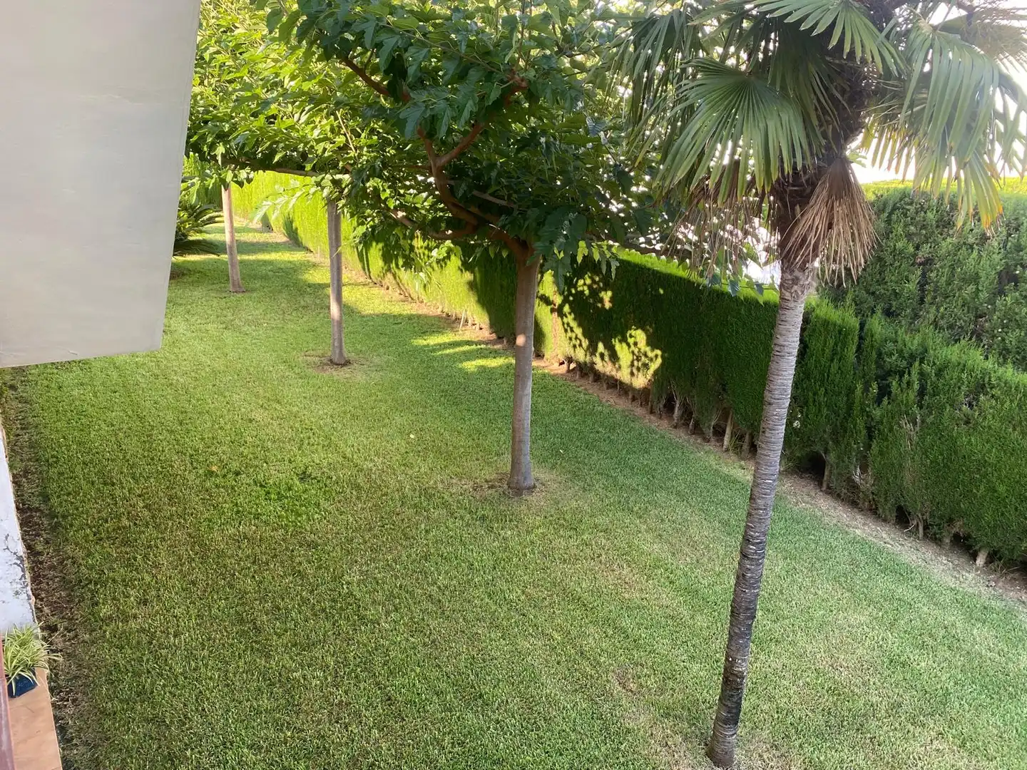 Chalet con terraza en venta en Carrer Ribalta, imagen 31