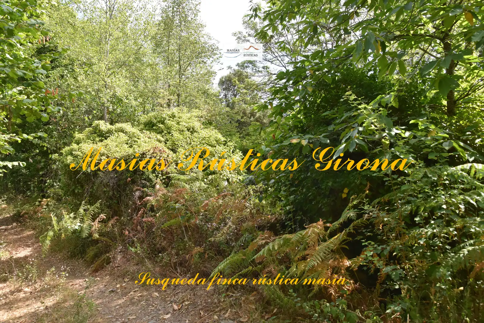 Casa rústica amb jardí en venda a Susqueda, imagen 3