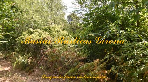 Foto 3 de Finca rústica en venta en N/a, -1, Susqueda, Girona