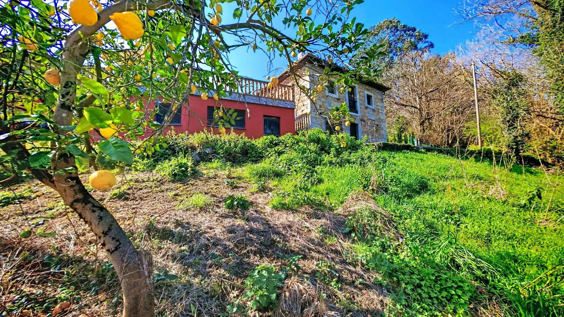 Exterior view of Detached homes for sale in Belmonte de Miranda