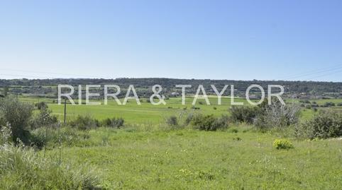 Foto 5 de Finca rústica en venta en Manacor Centre, Manacor