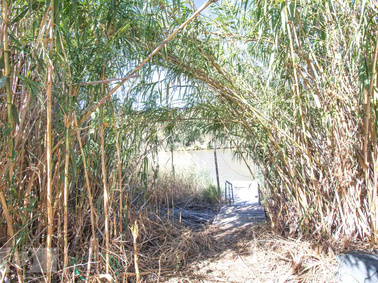 Jardí de Finca rústica en venda en Sanlúcar de Guadiana