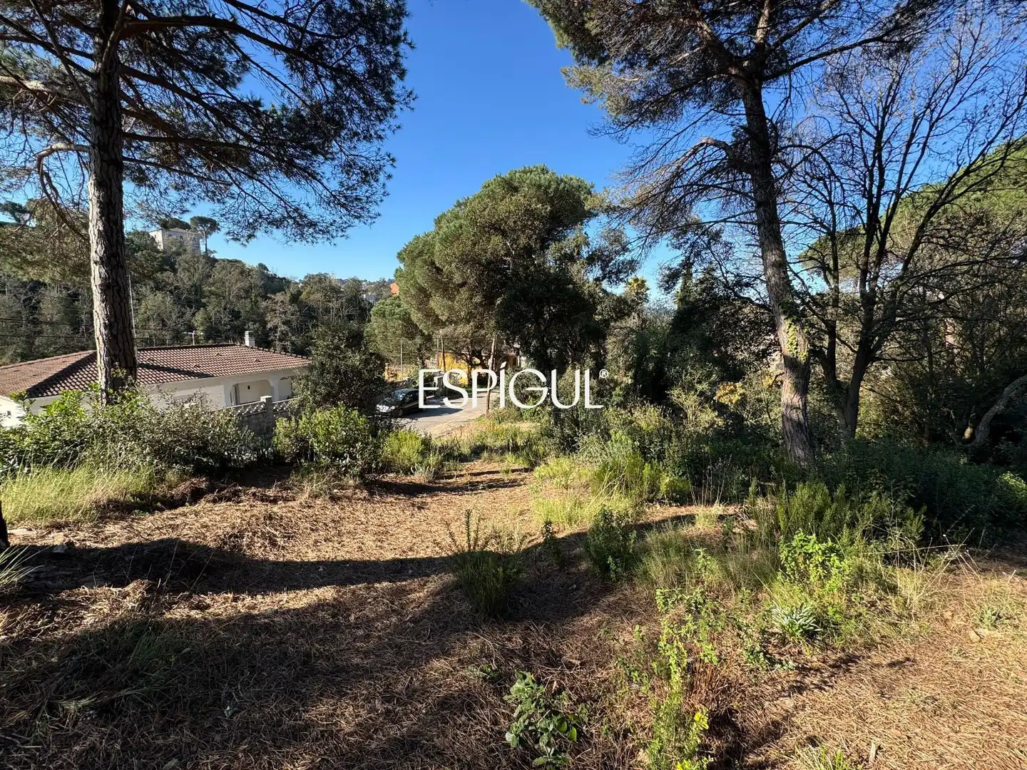 Terreno rústico en venta en Arboç, imagen 17
