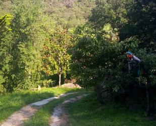 Vista exterior de Finca rústica en venda en Sant Aniol de Finestres amb Terrassa i Piscina