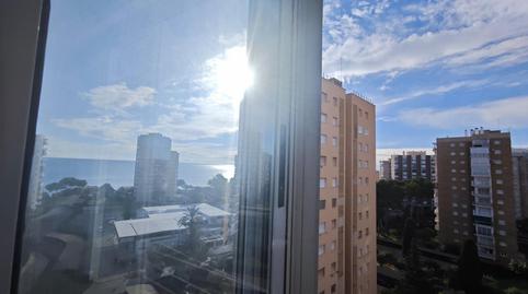 Photo 4 of Study for sale in Campoamor, Orihuela